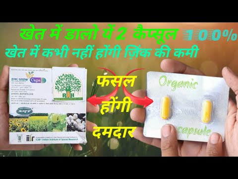 Organic zink fertilizer | For plants | zink capsule | capsule culture farming | Anusthan organics