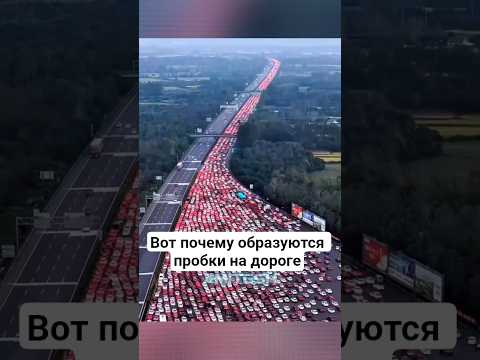 Вот почему образуются пробки на дороге #амитеш #факты