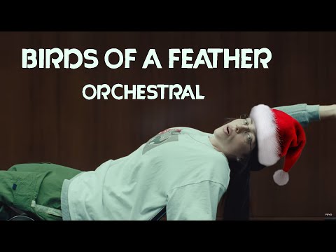 Fynn Raiden Music Video