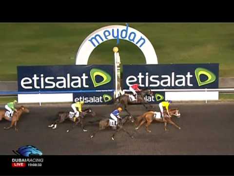 12.01.2012 Meydan (Dubai UAE) 2.Race Etisalat My Plan - Handicap 1.400 m