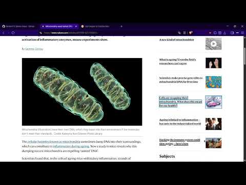 Item video thumbnail