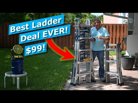 image-Are Werner ladders good?