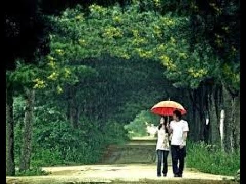 Đôi mắt u hoài - Trường Nhân