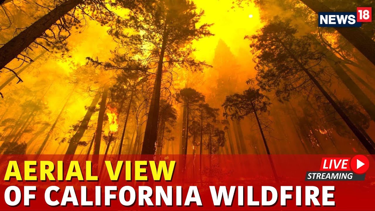 California Wildfire 2025 Live Updates | Aerial View Shows Scope Of California Wildfire Damage | N18G