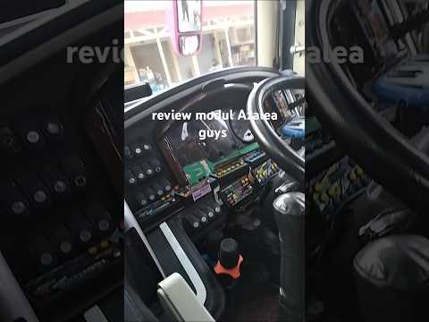 review modul bus Azalea #shortvideo #reviews