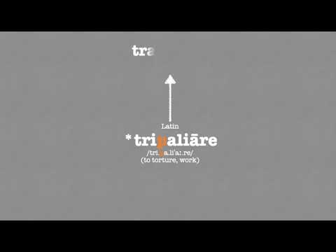 Lenition of Latin “P”