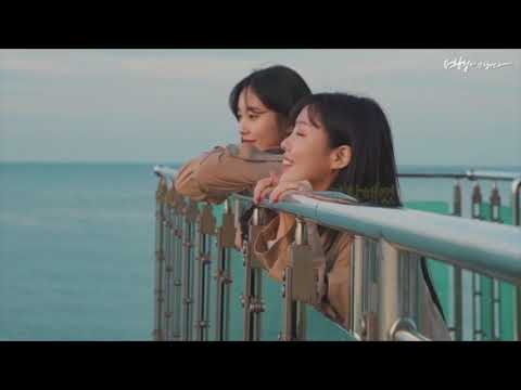 비디오 16