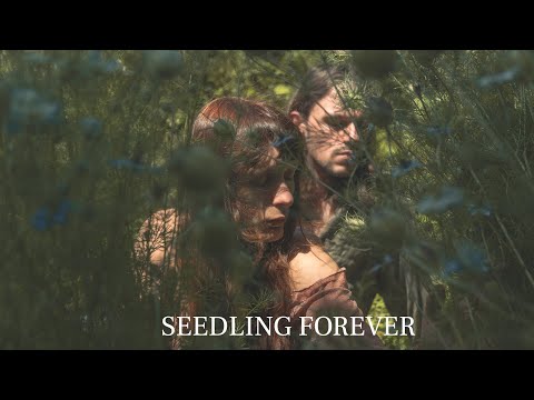 The Rabbitts - Lavender