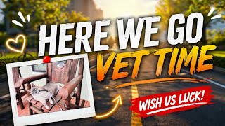 Veterinarian Visit | Daily Vlog | South Texas Living 