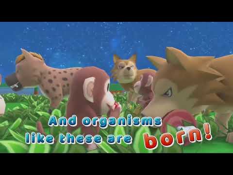 Видео № 0 из игры Birthdays the Beginning [PS4]