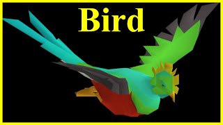 Bird Hunt, The Quetzal Variety | HCIM #19