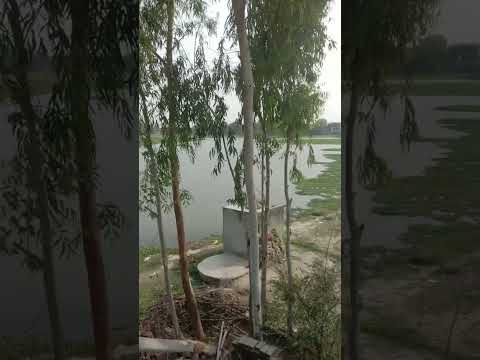 najiya 👋👋🌹👍🙏🙏🙏🙏👍🌹👋👋