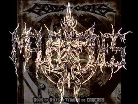 Mala Fides - Incarnated Solvent Abuse ( Carcass cover )