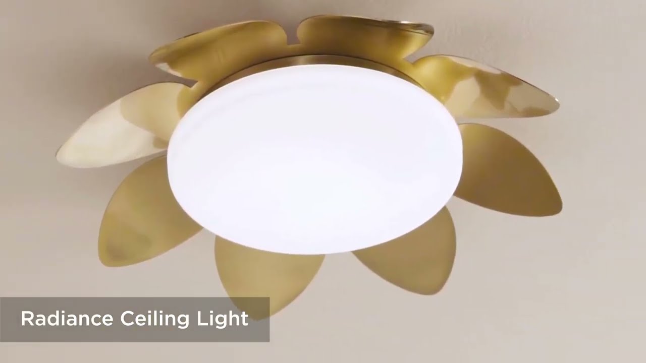 Video 1 Watch A Video About the Possini Euro Radiance Brass Flower LED Ceiling Light