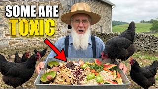 NEVER Feed These 9 Kitchen Scraps to Your Chickens — Some Are Fatal