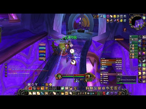 World of Warcraft TBC Classic Heroic Botanica Holy (First time healing)