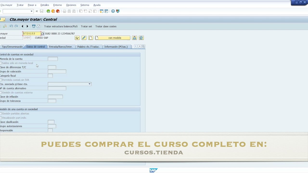 SAP Finanzas - Tema 21 Datos maestros