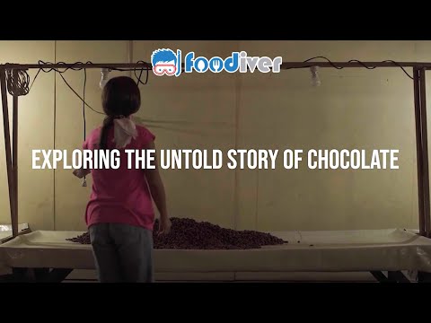 The One and Only Bean-to-Bar Chocolate Factory in Malaysia