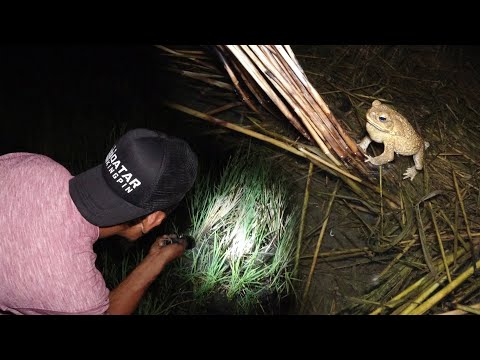 SE03EP157 - MAGAGALING SA DAKOT! PANG DADAKOT ng PALAKA ( Catch Cook Eat ) San Pablo City, Laguna