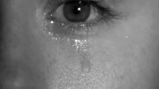 Ich wollte leben ohne dich (2015) Toi-Records