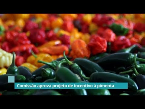 Comissão aprova projeto de incentivo à pimenta - 24/06/19