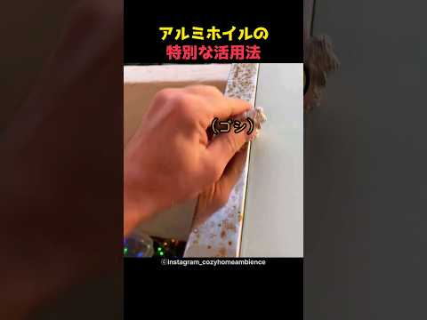 ヒント アドバイス 紙のアルミホイルを置いて、バルコニーの植物を保護し、鳥を遠ざけます