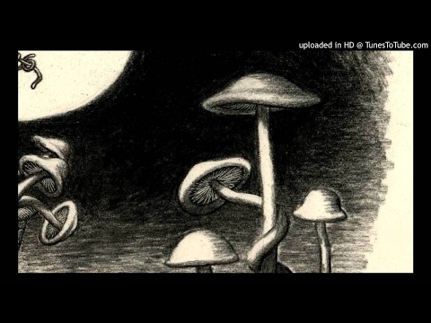 Shaolyn Monkeyz - Sabor a pila