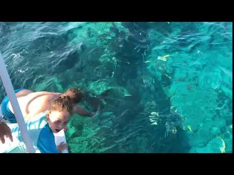 Xydas kids and a grouper