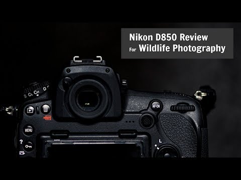 Nikon D850 for Wildlife and Photography | REVIEW one year later