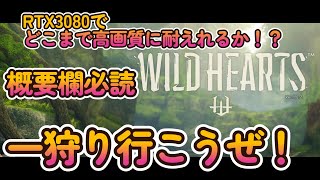 WILDHEARTS 　初見プレイ　とにかくやってみる！操作方法他をいろいろ覚えてやってみる！
