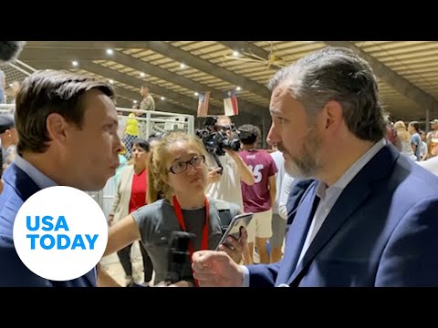 'Why only in America?' UK reporter presses Sen. Cruz on gun control USA TODAY