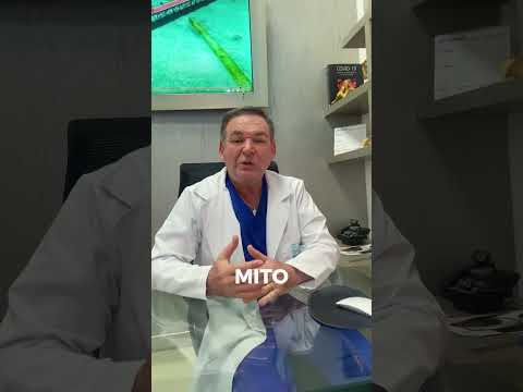 video gCQDQfQlO_8