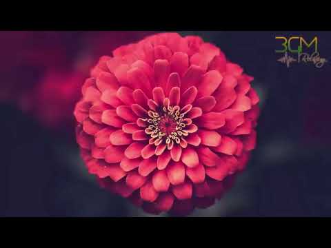 Meditação de cura que cura todas as doenças por 10 minutos por dia, música e vídeo#34