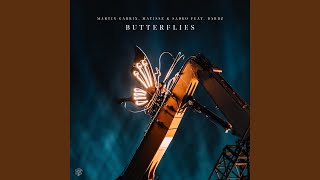 ⁠⁠Butterflies