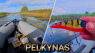 TRIJŲ KAIMO PRŪDŲ IŠŠŪKIS! Ką pavyko pagauti?.Trečias prūdas,tikras pelkynas!