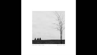 PVRIS