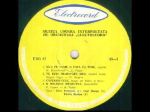 Gigi Marga-Tu esti primavara mea