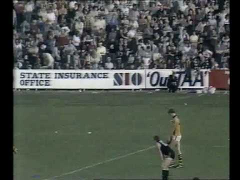 VFL R8 1984 - Carlton v Hawthorn