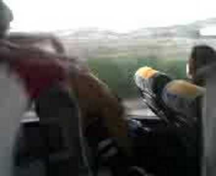 BROMA MARTIN EN EL AUTOBUS DEL C.D.MOJACAR