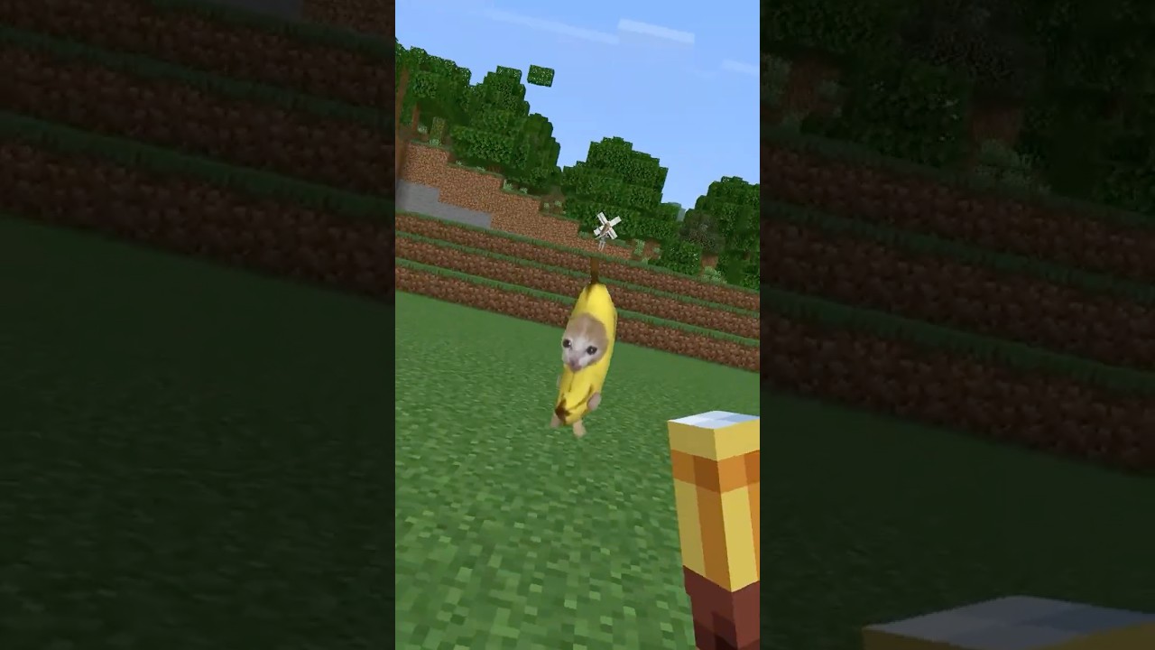 バナナ猫が矢を撃てるようになった　#マイクラ #猫ミーム #bananacat