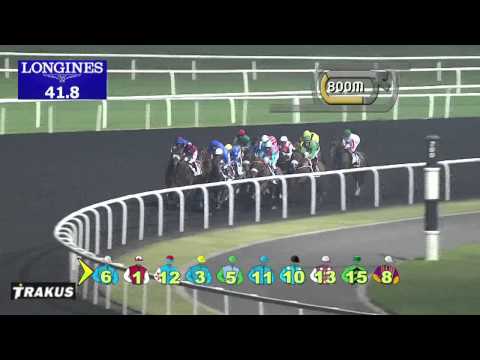 01.03.2014 Meydan (Dubai-UAE) 2.Race Meydan Sobha - Handicap