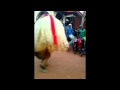 Oganigwe masquerade