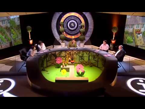 Quite interesting XL G01   Gardens QI