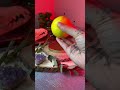 Revenge Spell ️ Warning Not For Beginners ️ Magic Witchcraft Witchy