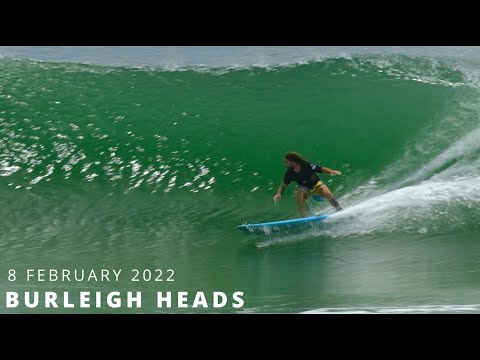 Duck For Cover - Tuesday 8 February 2022