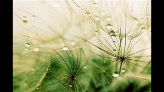 it&#39;s about time   John Denver