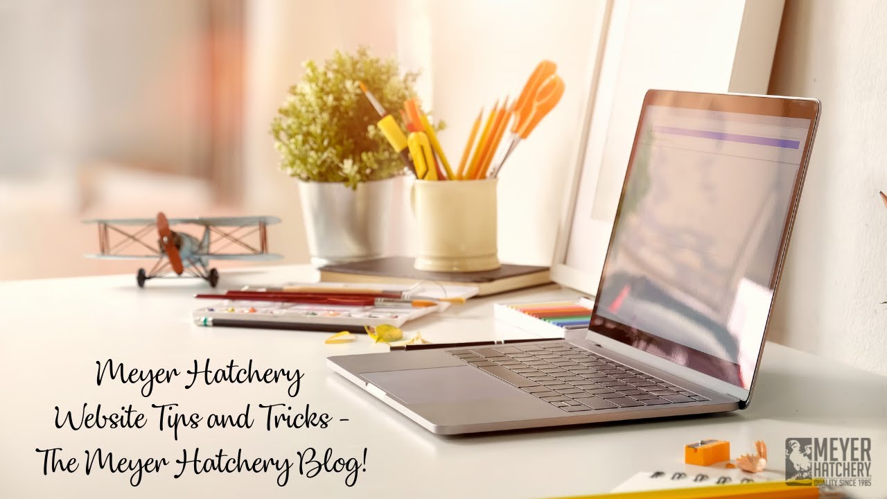 Meyer Hatchery Website Tips and Tricks - The Meyer Hatchery Blog!