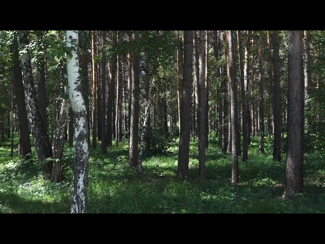 Все на «тихую охоту»!