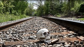 Sweet Apple (with Mark Lanegan and Robert Pollard) -- World I&#39;m Gonna Leave You (Official Video)