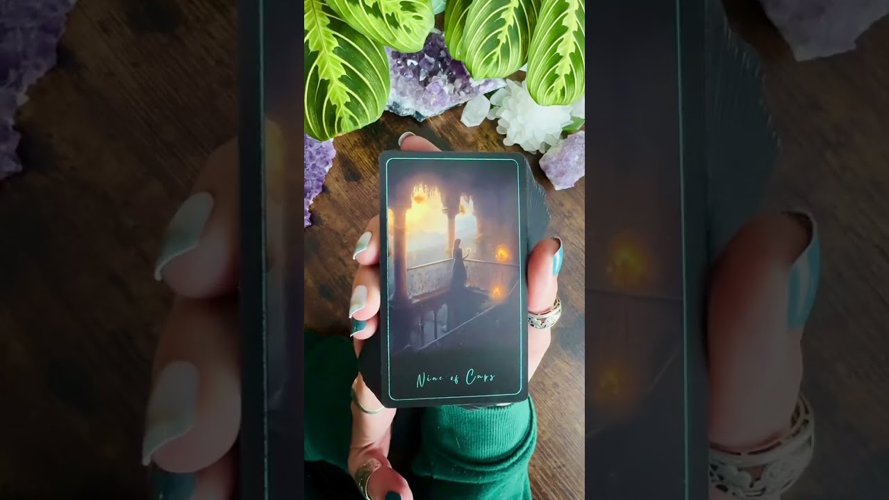 An offer to compromise. They still feel strongly connected to you! ⭐️✨Mini LOVE Reading